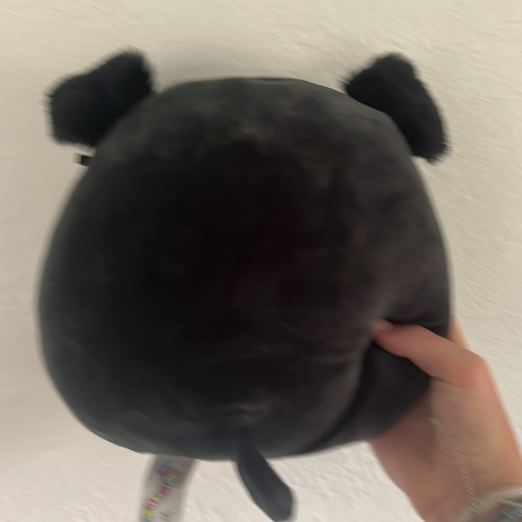 8” Paulie and 5” rainbow zebra - Picture 2 of 6